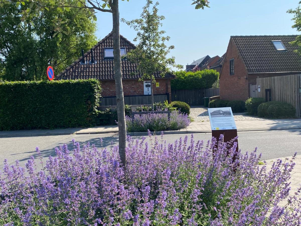 B&B Sint-Mariaburg Antverpy Exteriér fotografie